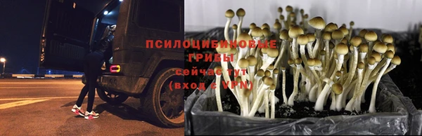 марихуана Осинники